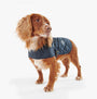 Barbour QUILTED DOG COAT Navy side view on a dog with a fluffy coat in a bright background.