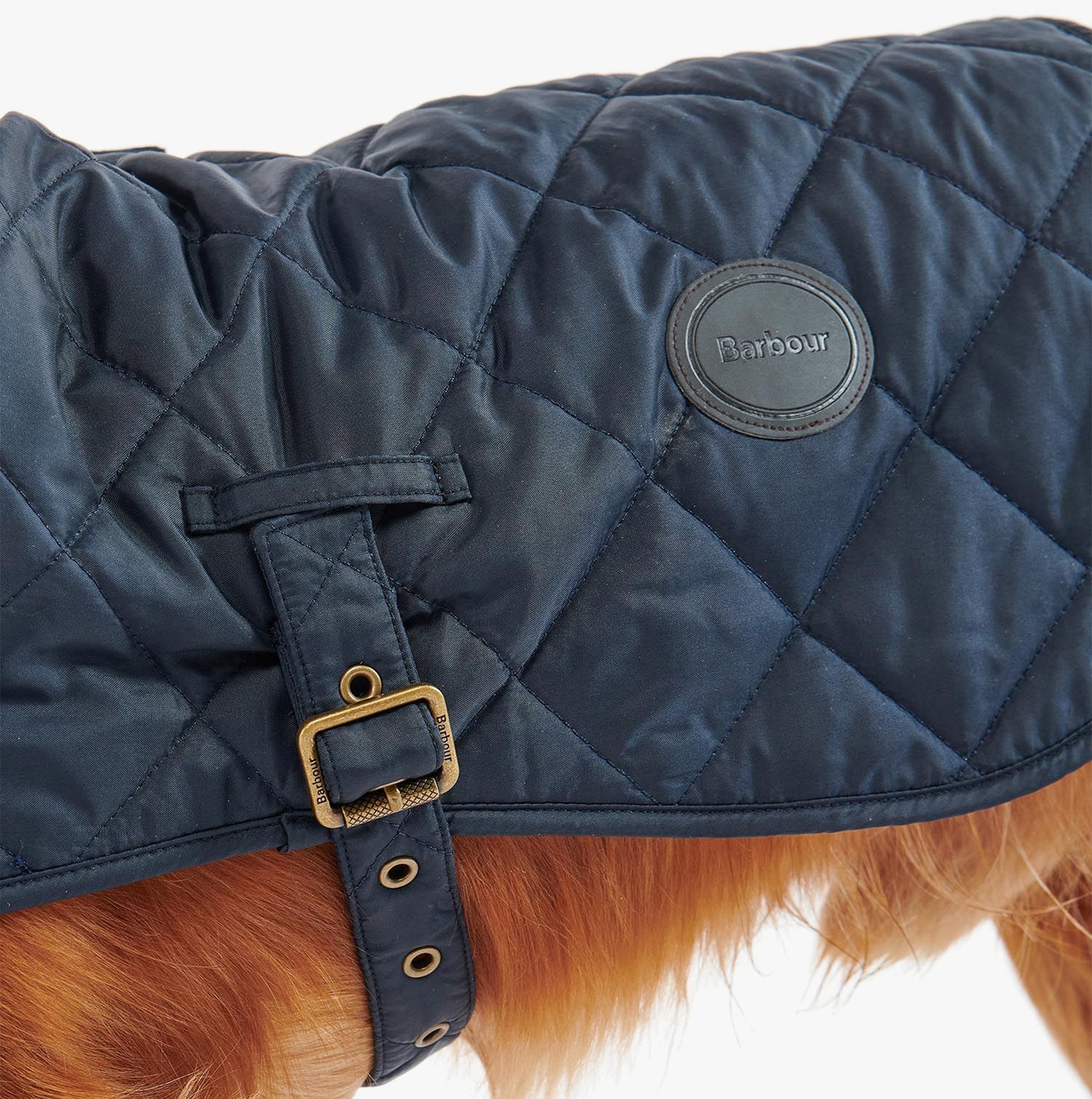 Barbour QUILTED DOG COAT Navy side view with adjustable strap and logo detail.