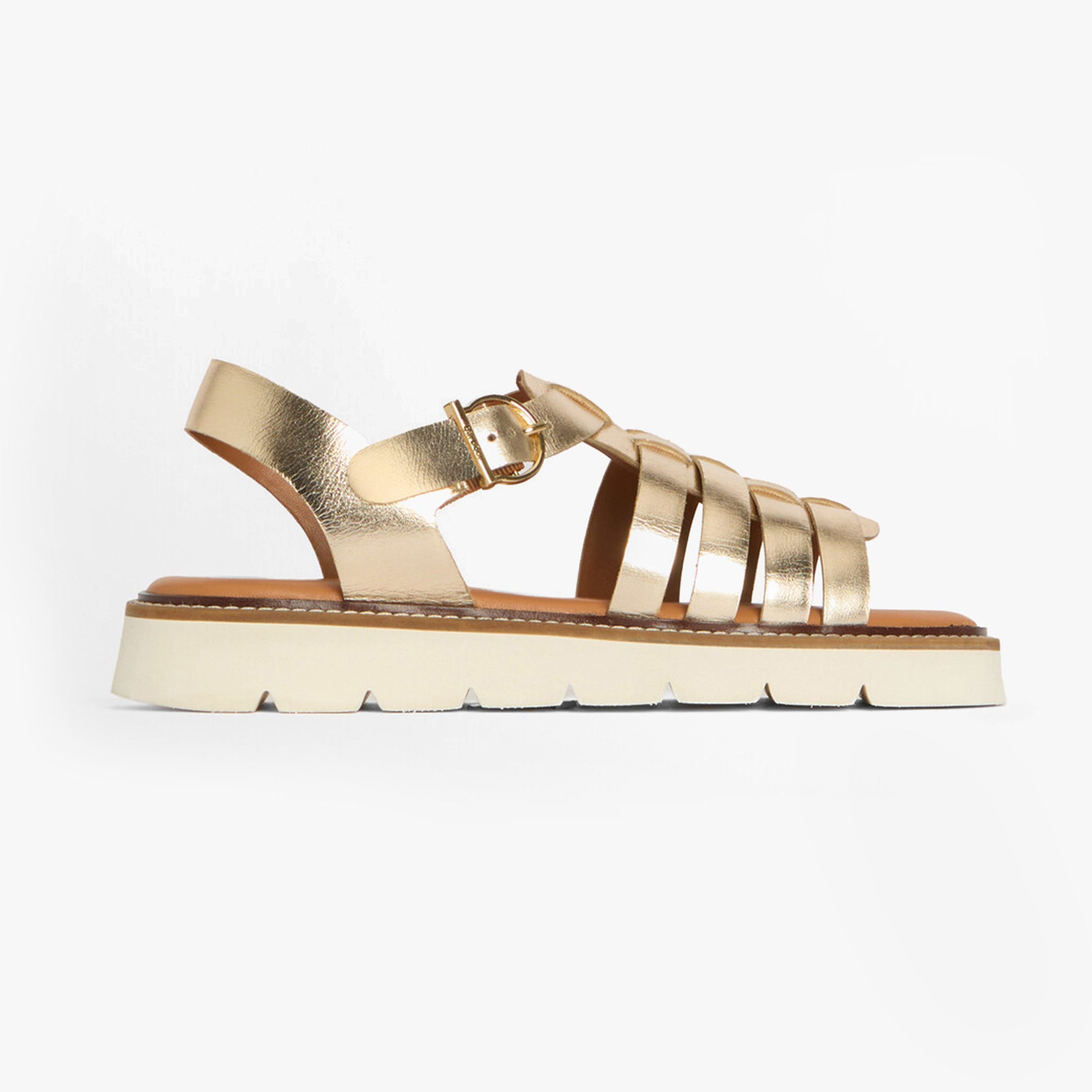 Barbour Footwear, Clothing & Accessories for Women