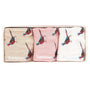 Barbour PHEASANT SOCK 3-Pack Gift Set Womens Pink Rust Mix, front view of socks in gift box.