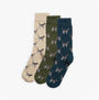 Barbour POINTER DOG SOCKS Mens Gift Box Forest Mist, front view of three patterned crew socks in beige, green, and navy.