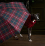 Barbour Tartan Walker Umbrella detail view with dog under canopy, showcasing red and green plaid design.