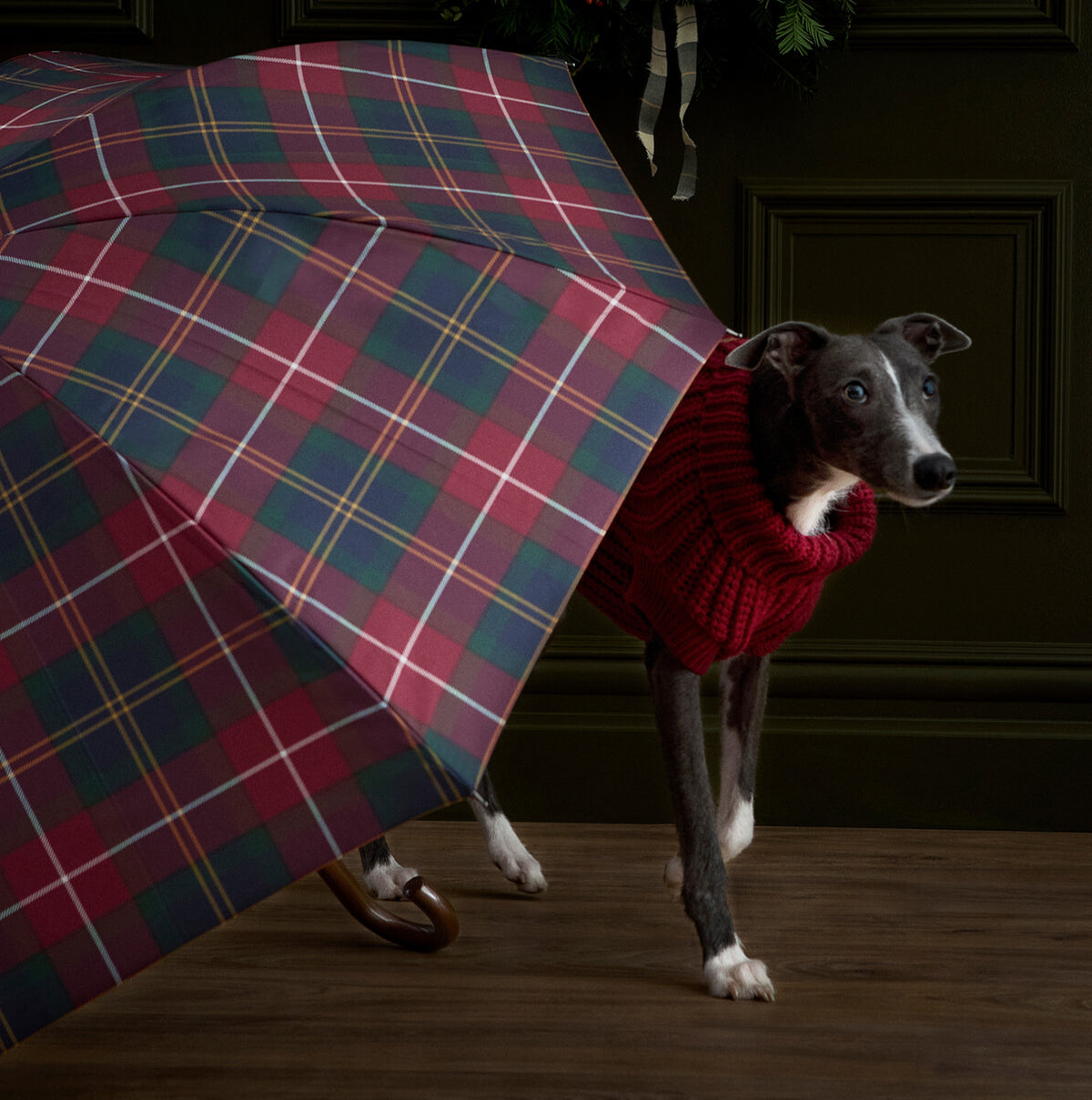 Barbour Tartan Walker Umbrella detail view with dog under canopy, showcasing red and green plaid design.