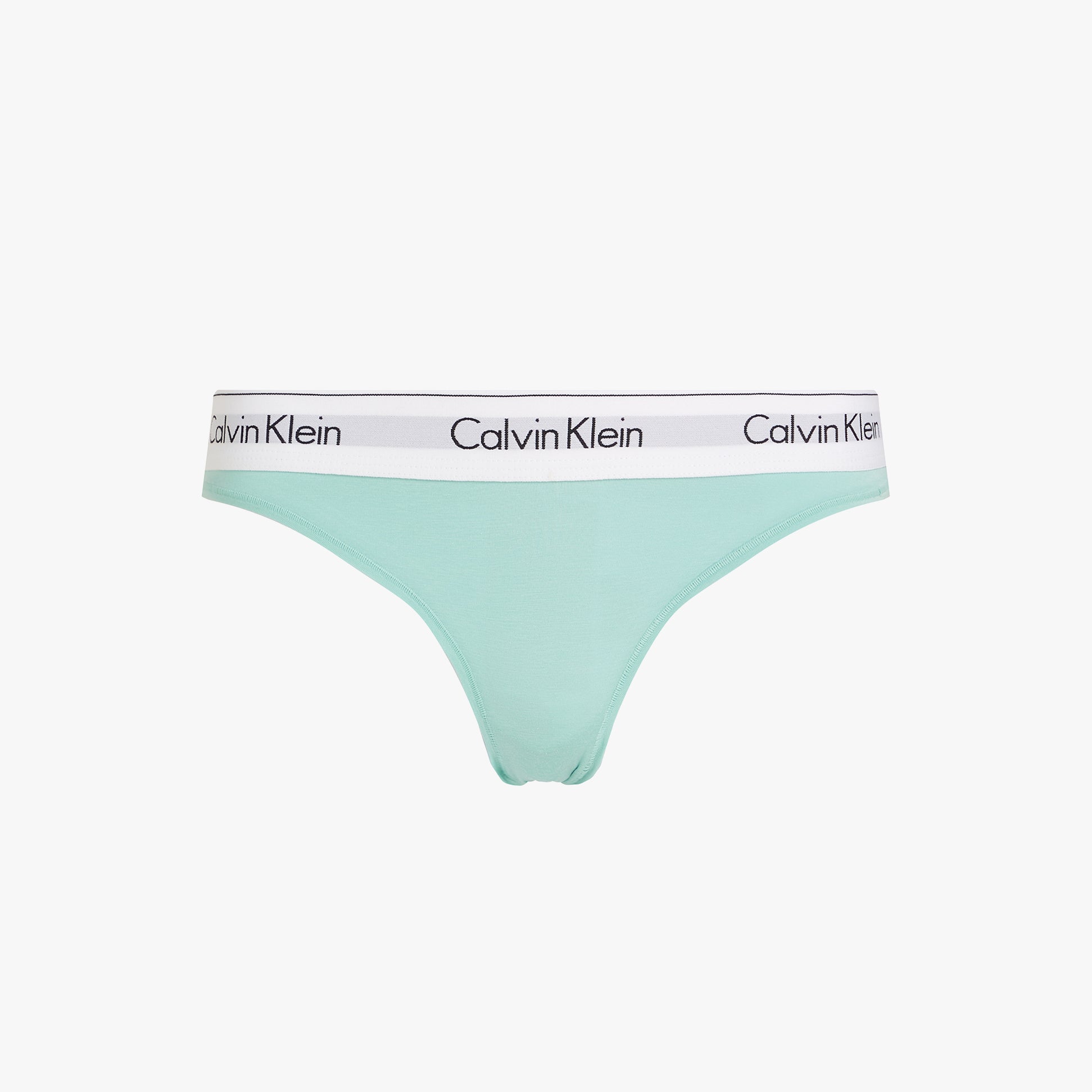 Calvin Klein ICON Cotton Modal Womens Bikini Briefs Womens Beau Blue side view with CK signature waistband in mint green color.