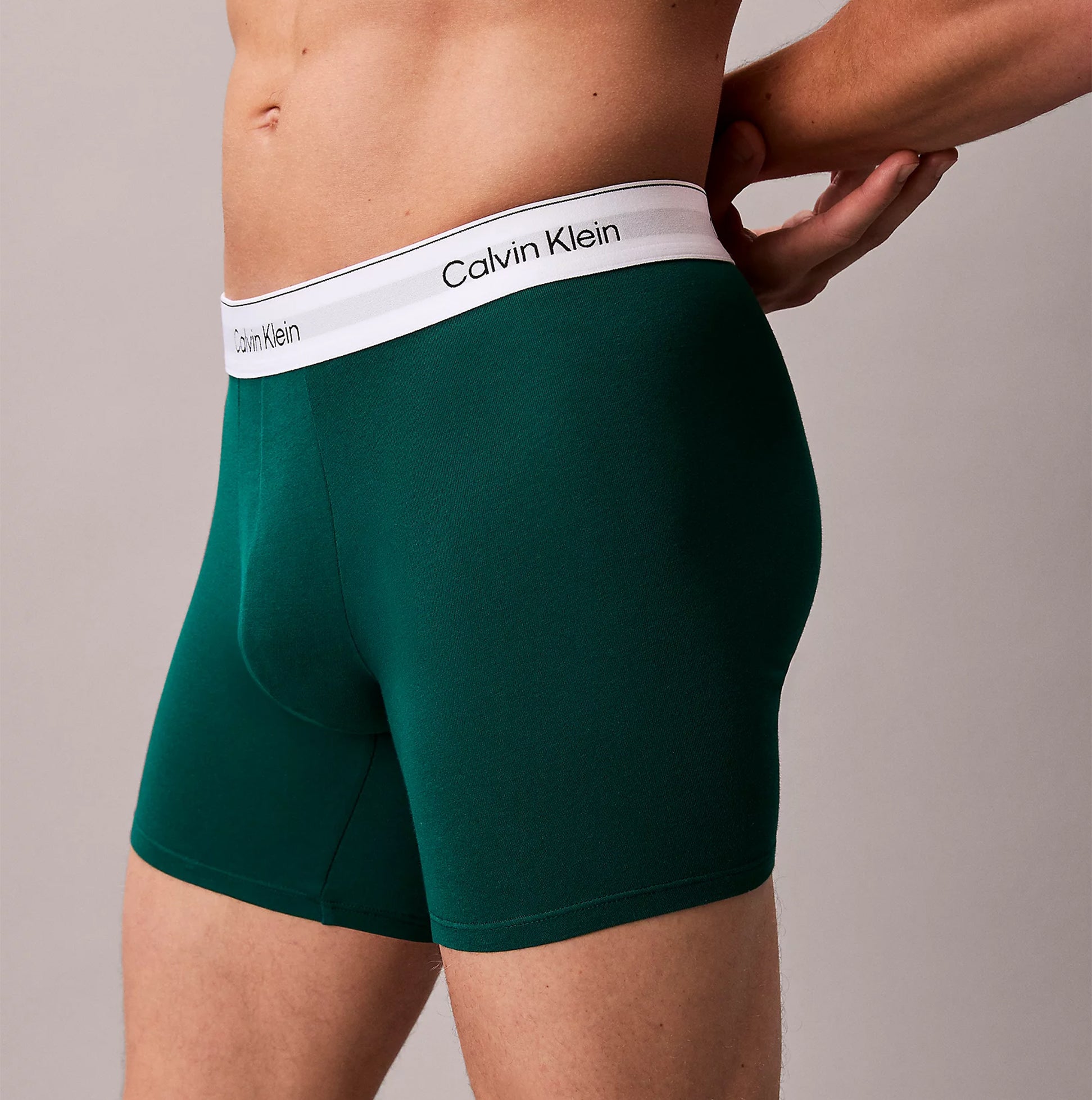Calvin Klein BOXER BRIEF 3 Pack Mens Cotton Stretch Multicolour side view in dark green with white waistband.