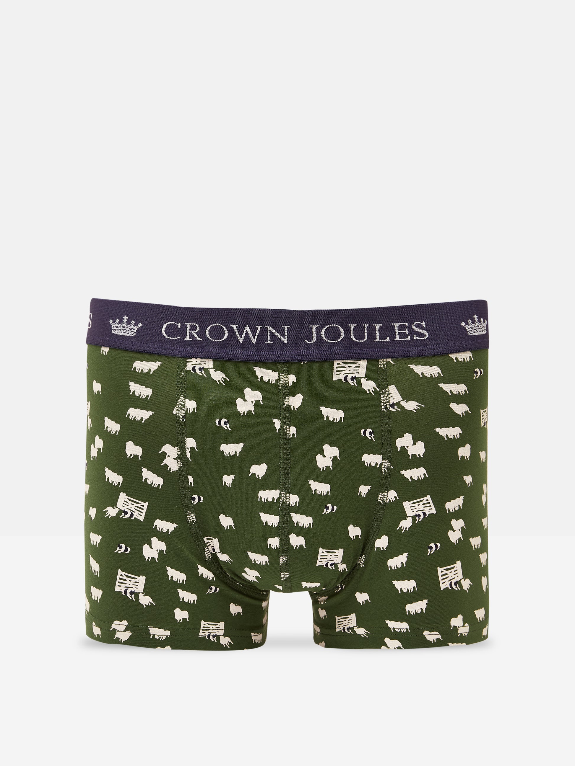 Joules CROWN JERSEY Mens 2-Pack Boxers Flocks Sake front view highlighting the green design and band.