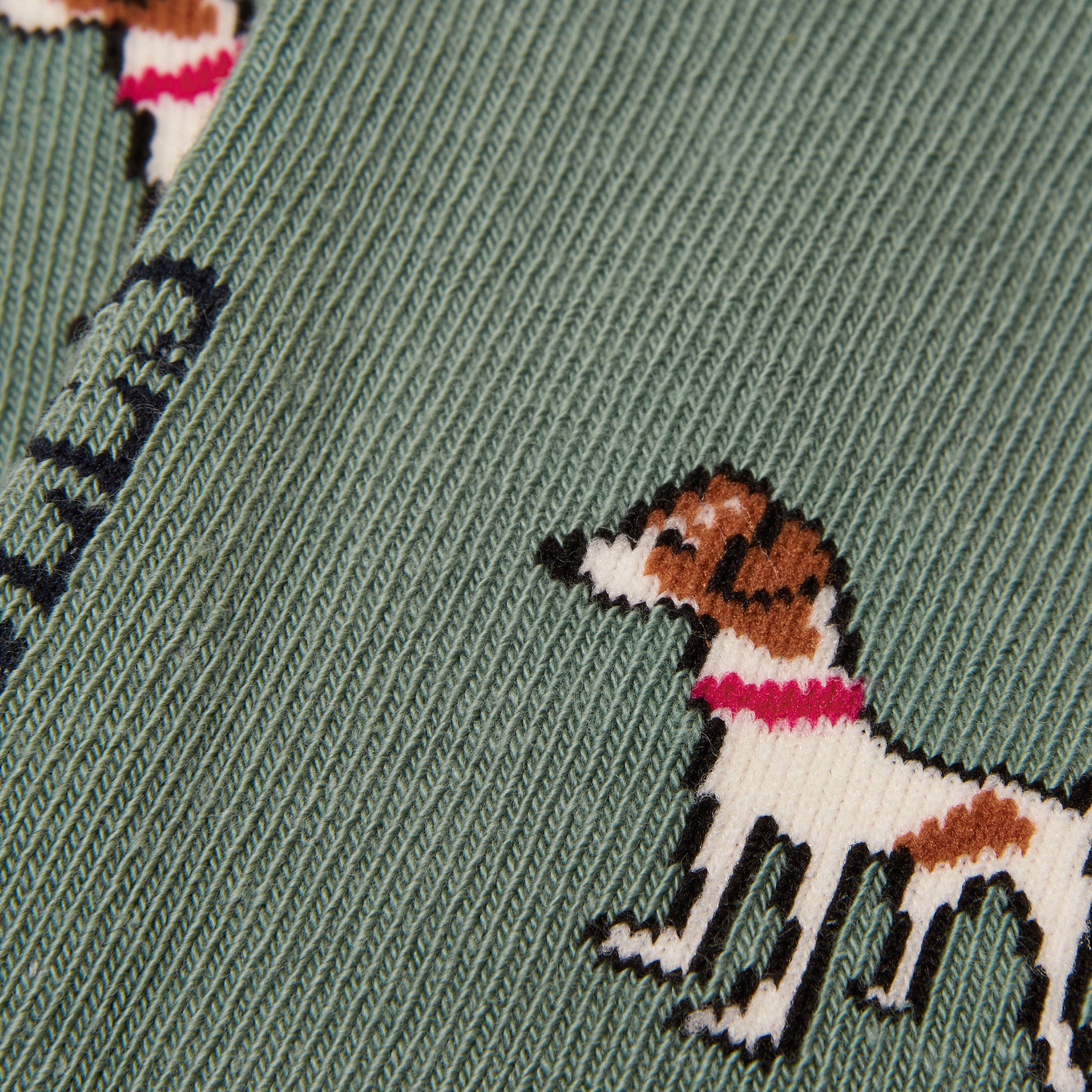 Detail view of Joules EVERYDAY Womens Socks Green/Blue featuring playful dog design on a green background.