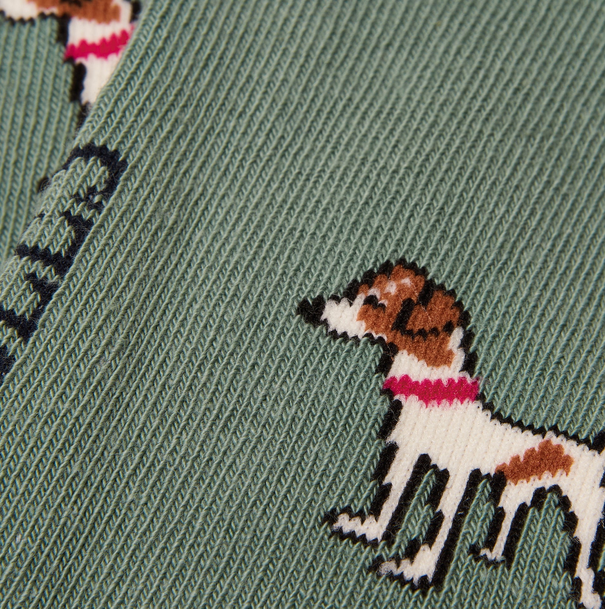 Detail view of Joules EVERYDAY Womens Socks Green/Blue featuring playful dog design on a green background.