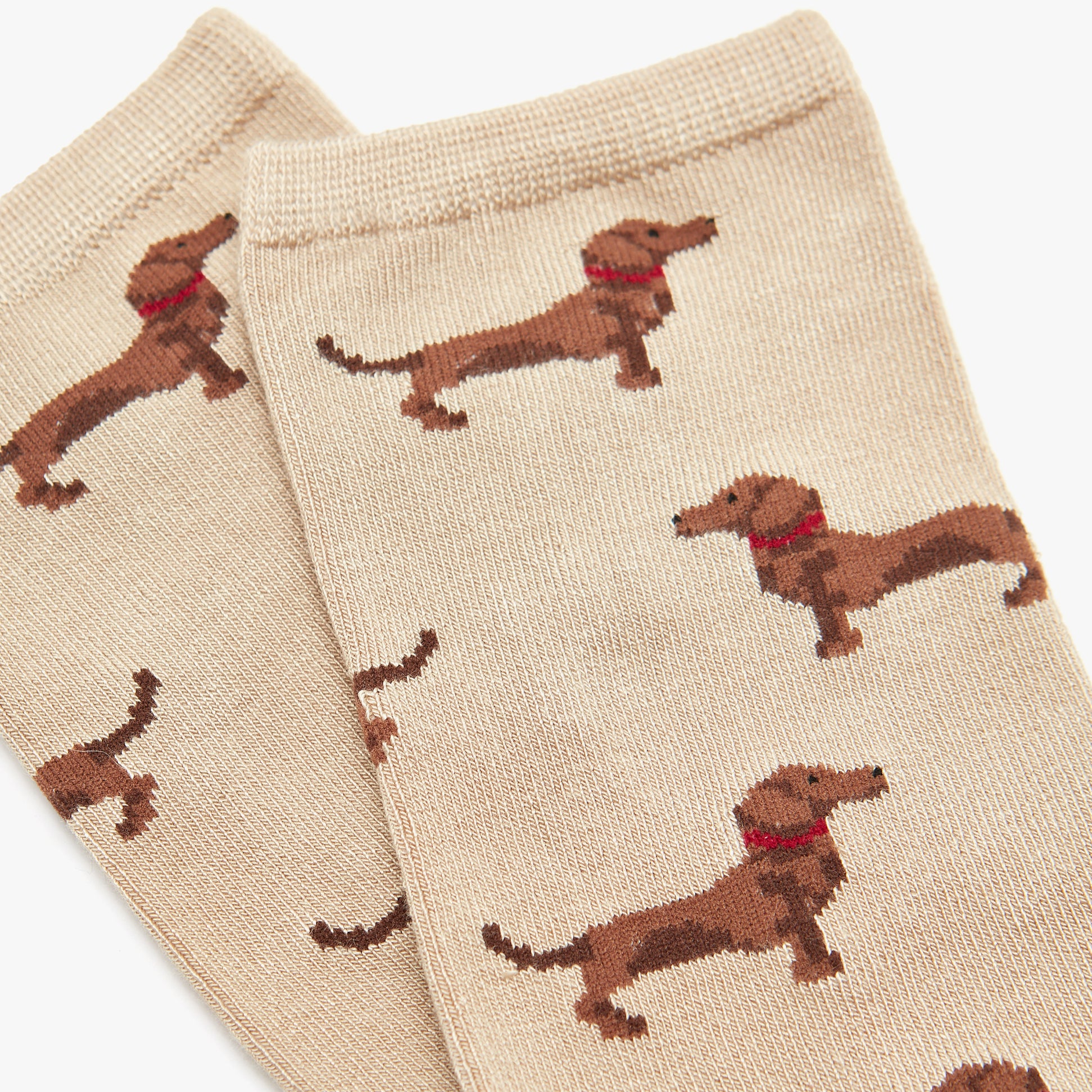 Joules EVERYDAY 2-Pack Womens Socks Green Dog detailed view showcasing brown dog print on beige fabric.