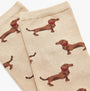 Joules EVERYDAY 2-Pack Womens Socks Green Dog detailed view showcasing brown dog print on beige fabric.