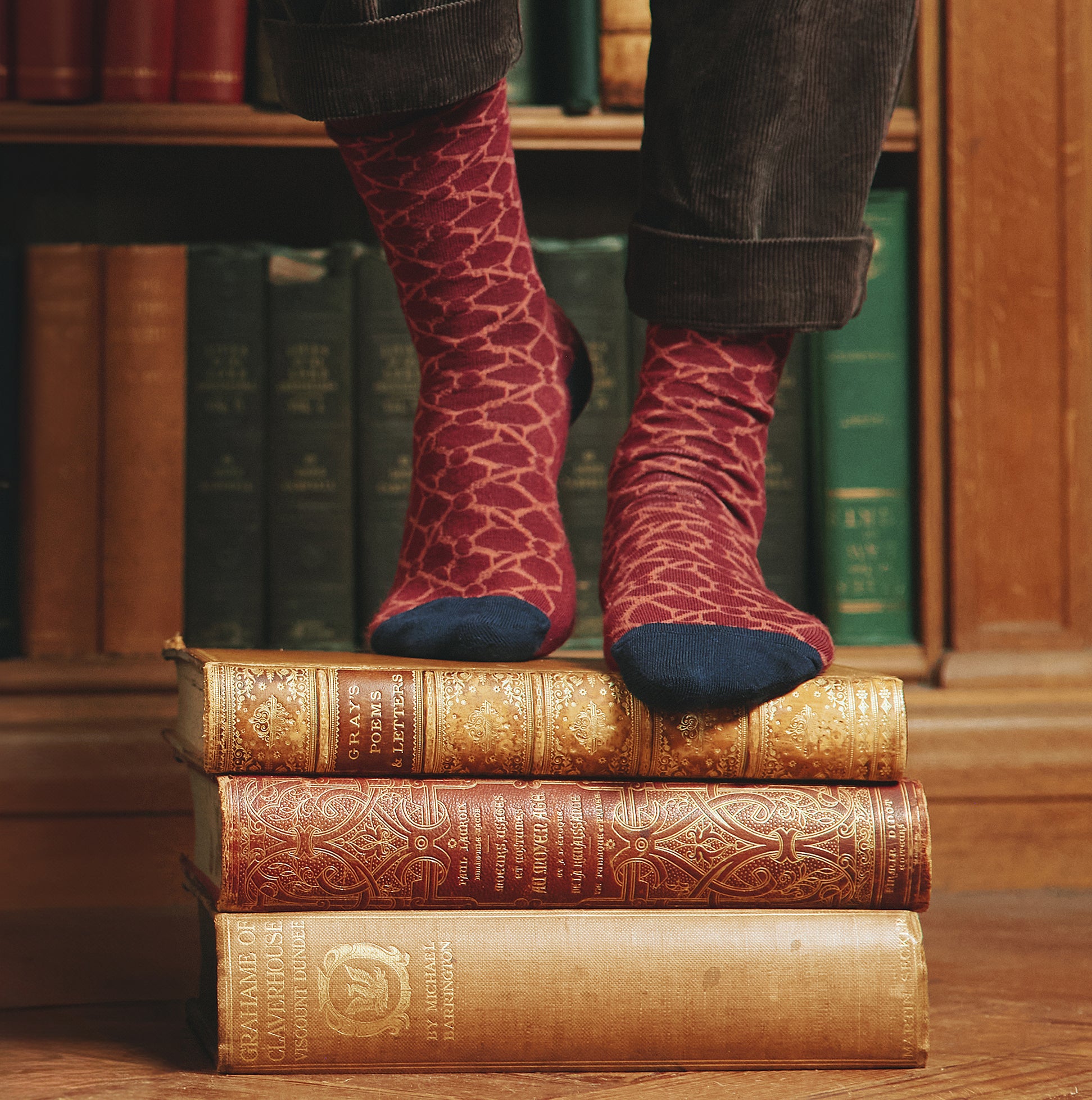 Joules EVERYDAY 2-Pack Womens Socks Navy Horse front view worn on stacked vintage books.