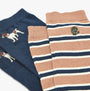 Joules KINGSBURY 2-Pack Mens Socks Navy Camel, top view showcasing dog and striped designs.