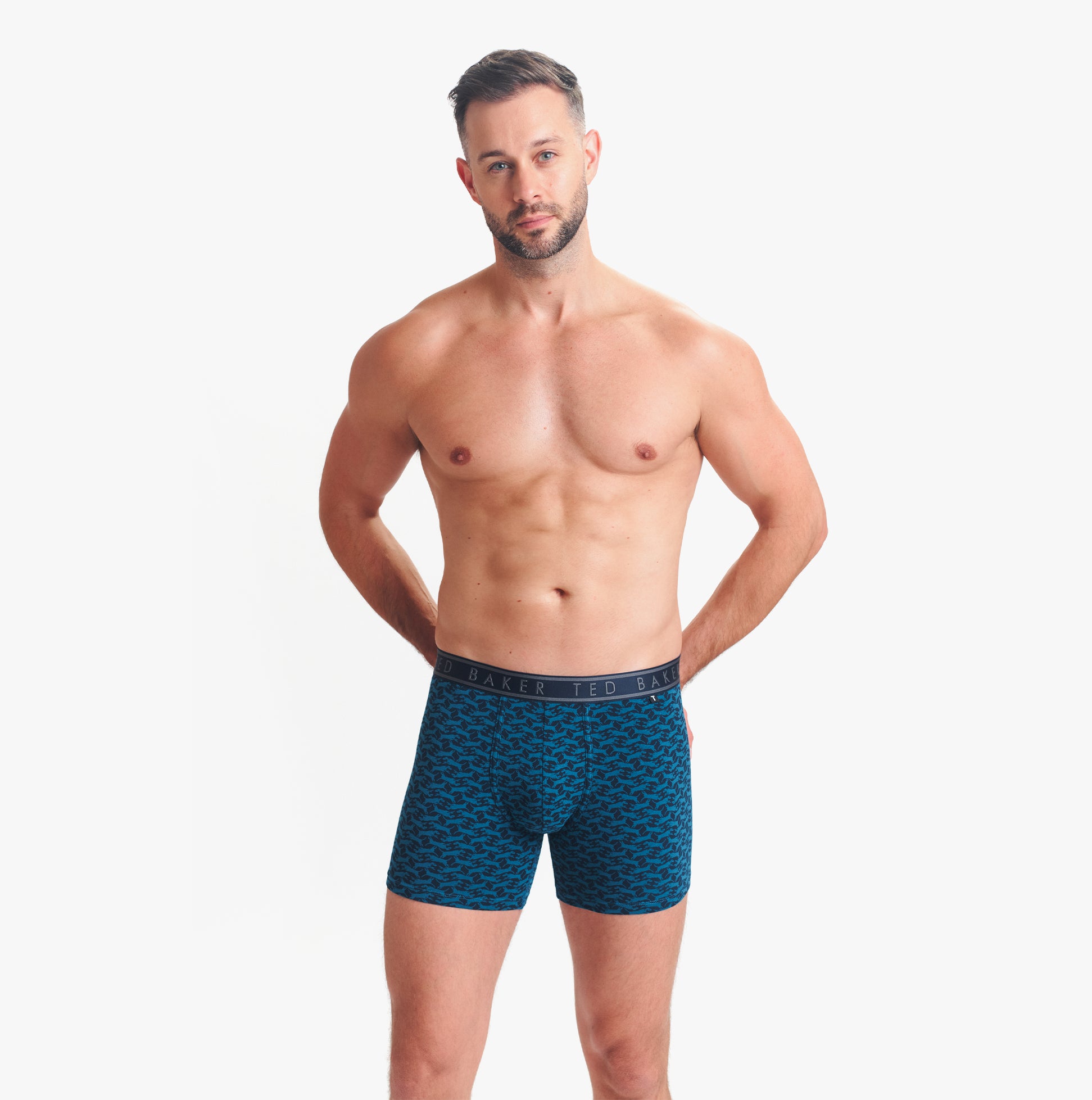 Ted Baker 3-Pack Cotton Boxer Briefs Mens Boxer Briefs Multi