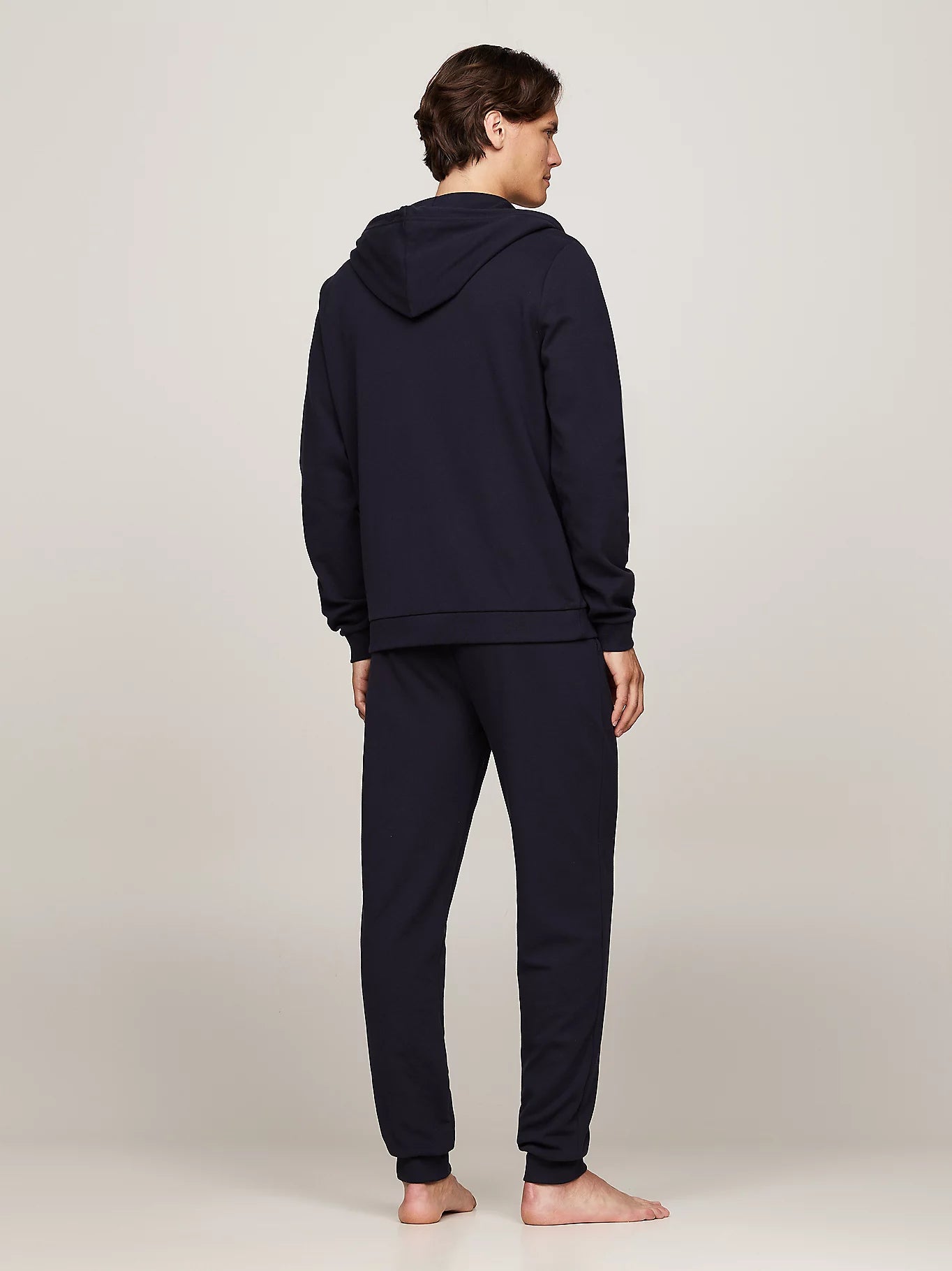 Tommy Hilfiger ORIGINAL LOGO Mens Full Zip Hoodie Desert Sky back view showcasing the hood and fit.